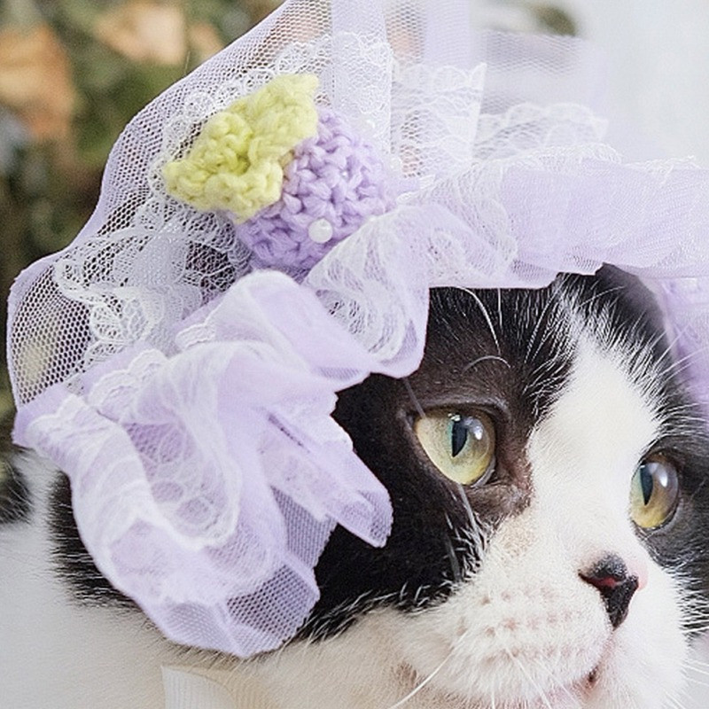 Lolita Maid Cat Ausis Galvassega cepure japāņu stila mežģīņu lentes galvassegas Anime Cosplay kaķu matu aksesuāri