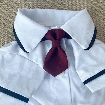 Koledžas stila mājdzīvnieks JK krekls tauriņš Kaķu apkakle Skolas nozīmīte Piespraude Kaķis Bišons Rotaļu apģērbu aksesuāri Kaķēnu aksesuāri