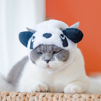 Забавни котешки шапки Памучни шапки за домашни любимци за коте Сладка панда Котешки аксесоари Топли консумативи за кученца Карикатури Куче с форма на косплей костюм