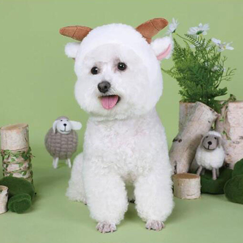 Smiješne mačje kape Pamučna pokrivala za kućne ljubimce za mačiće Slatka panda mačka Dodaci Topli pribor za štene Crtići u obliku psa Kostim za igru