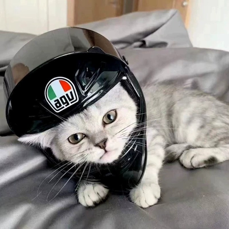 Naminių gyvūnėlių motociklo šalmas Lauko motociklo važinėjimo dviratininkas šalmas, skirtas kačių šuniukui, reikmenys naminiams gyvūnėliams Motociklų priedai, dekoravimo reikmenys