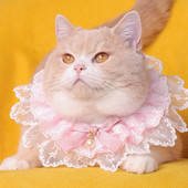 Ružičasta princeza Čipka Mačka Bib Ovratnik Slatki pogled Nakit Pas Mašne Ogrlica Šal za kućne ljubimce Slatko mače Štene Vrat Pinni Dodaci Krpa