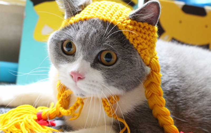 [MPK trgovina] Slatki konjski repovi za mačke, pokrivala za mačke, pokrivala za mačiće, kostimi za kućne ljubimce