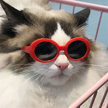 Γυαλιά γάτας Cool Pet Small Dog Fashion Στρογγυλά γυαλιά για κατοικίδια Προϊόν για μικρό σκύλο Γυαλιά ηλίου γάτας για φωτογραφία Αξεσουάρ για κατοικίδια
