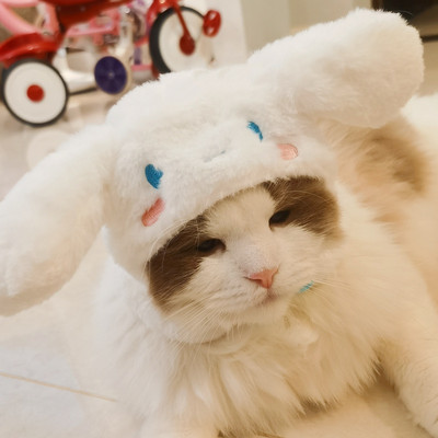 Mačka Slatka crtana ukrasna smiješna mačka Pokrivala za glavu Mačka Pas Šešir Pokrivala za glavu Ljubimac Slatki smiješni artefakt Topli plišani šešir za kućne ljubimce Rekviziti za fotografije kućnih ljubimaca