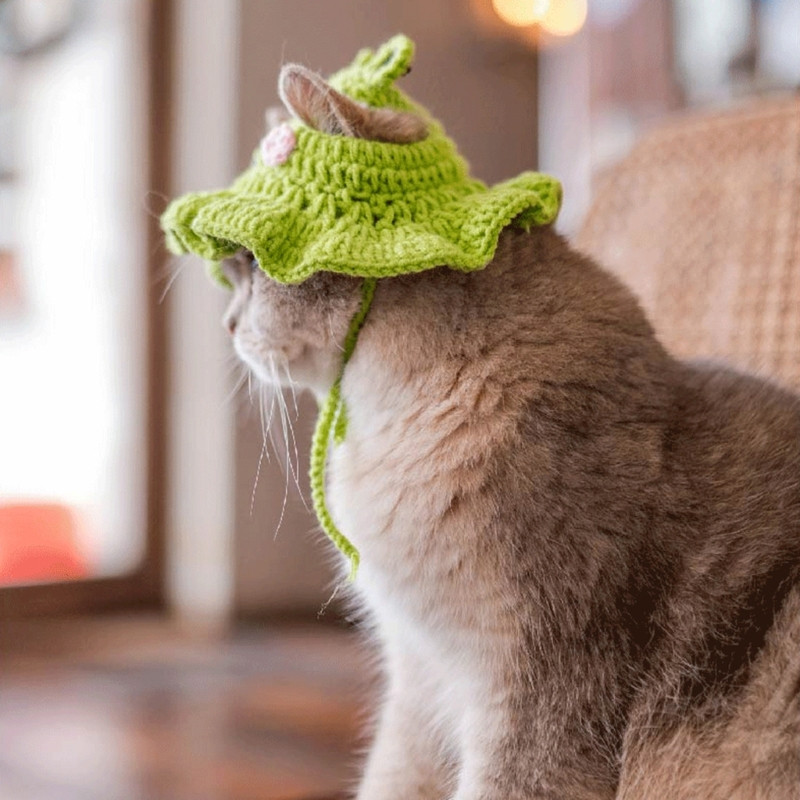 Smieklīga cepure kaķim multfilma tamborēta forma saģērbt kostīms mājdzīvnieku cepure Ziemassvētku cosplay silta galvassega suņu kaķu aksesuāri