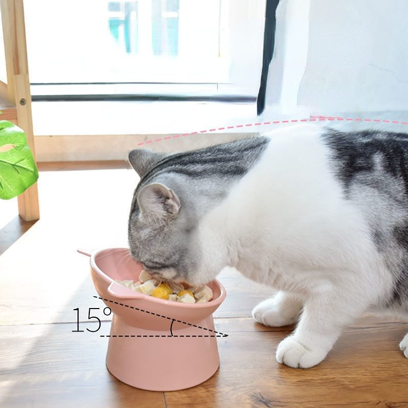 Lemmikloomatoidukauss, kallutatav kõrge alumine kaelakaitse Kassi koerakauss Vesisööt Kassitoit kõrge jalaga lemmikloomakaussi tarvikud