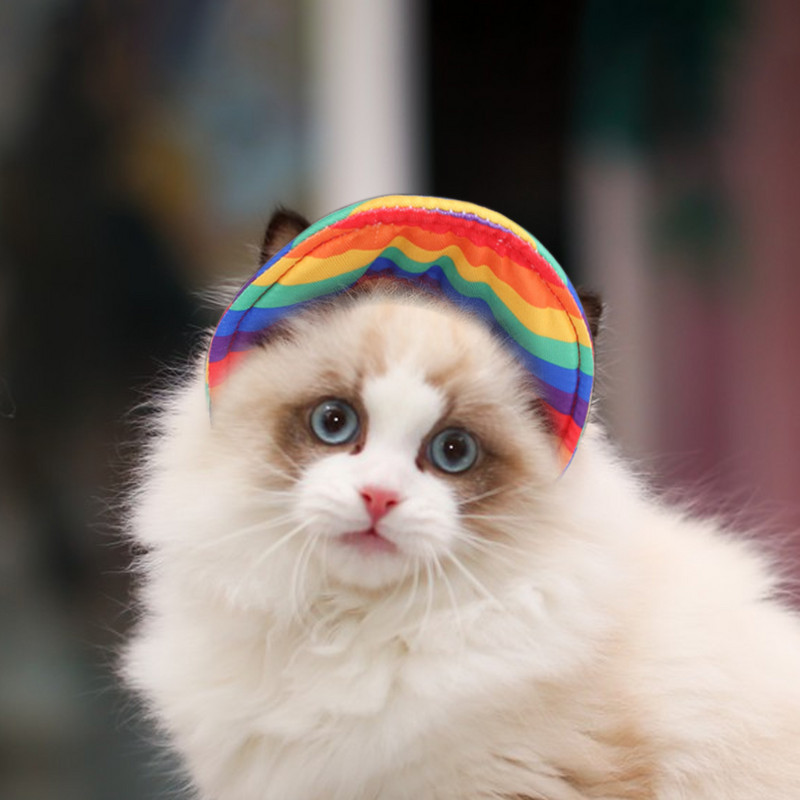 Bejzbolska kapa za pse Pseća kapa za sunčanje s obodom Sportovi na otvorenom za kućne ljubimce Zaštita od sunca Bejzbolska kapa s rupama za uši za mačke, pse Šareni SM