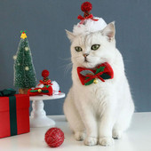 Ogrlica za kućne ljubimce Svečana čvrsto fiksirana Stvorite atmosferu Božićni elementi Ogrlica za mačke Šešir Igračka Komplet s loptom Pokrivala za kućne ljubimce