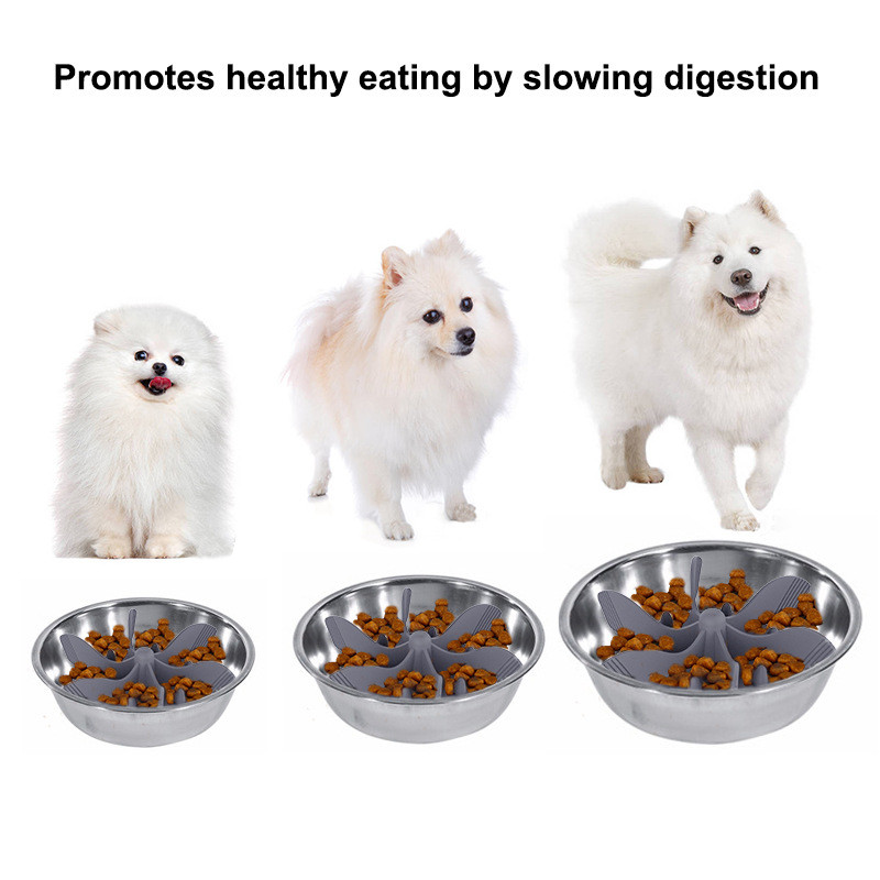 Hranilica za sporu hranu za kućne ljubimce Pas Mačka s usisnom čašicom Hranilica za kućne ljubimce Anti-Choke Umetak Spiralna spora hranilica za sprječavanje pretilosti Pet Perro pribor