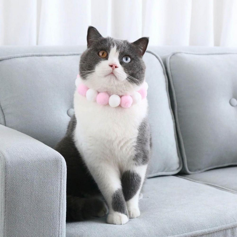 Mājdzīvnieku apkakles kaklarota Plīša bumbiņas Dekoratīvās stiprinājuma lentes Ziemassvētki Kaķi Suņi Pomponu kaklasiksnas dzimšanas dienai