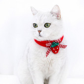 Uzorak jagode Dekor ogrlica za kućne ljubimce Prekrasni modni psi kućni ljubimci Mačke Ovratnik s šalovima Oprema za kućne ljubimce Dodaci za mačke