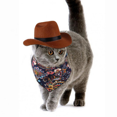 1 set pălărie pentru animale de companie, frumoasă pălărie retro eșarfă, accesorii pentru animale de companie, cățeluș ușoară, pălărie de cowboy, costum pentru pălărie pentru animale de companie, costum pentru viața de zi cu zi