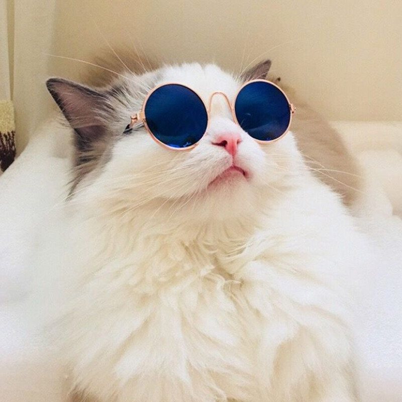 Vanad fotod Rekvisiidid Lemmikloomatarbed Mitmevärvilised trendimänguasjad Kasside prillid Peegeldusprillid Lemmikloomade päikeseprillid Prillid