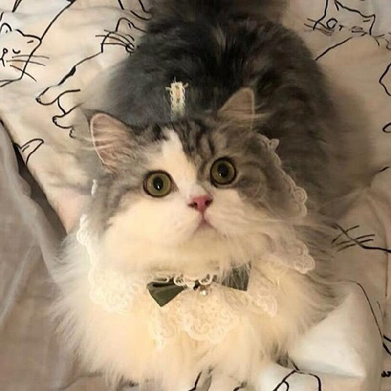 Lovely Pets Bowknot kakla siksnas šalle ar zvaniņu Mīksts mājdzīvnieku kakla lakats kaķiem suņiem Bowknot mājdzīvnieku apkakle ar zvaniņu fotografēšanai