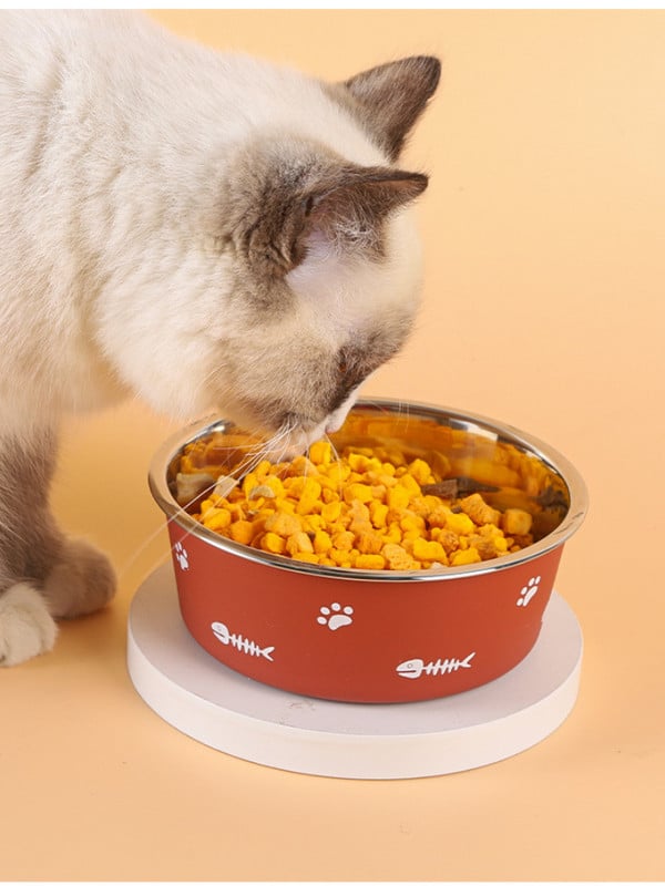 Lolojumdzīvnieku kaķu barošanas bļoda nerūsējošā tērauda plastmasas neslīdoša viena bļoda pārtikas dzeršanas paplāte Barotājs, izturīgs pret pilieniem, izturīgs mājdzīvnieku suņu bļoda