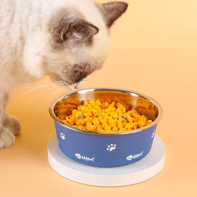 Lolojumdzīvnieku kaķu barošanas bļoda nerūsējošā tērauda plastmasas neslīdoša viena bļoda pārtikas dzeršanas paplāte Barotājs, izturīgs pret pilieniem, izturīgs mājdzīvnieku suņu bļoda