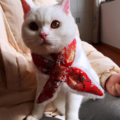 Šalle Ķīniešu stila siekalu dvielis Ādai draudzīgs Viegls dvieļu apdruka Ērts suņu kakla lakats mājdzīvniekam