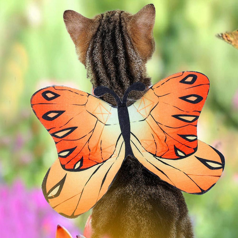 Vruća rasprodaja Halloween Cosplay kostim s temom insekata, vilinski anđeo, za mačku, psa, ljubimca, kostim s leptirom, haljina za nastup