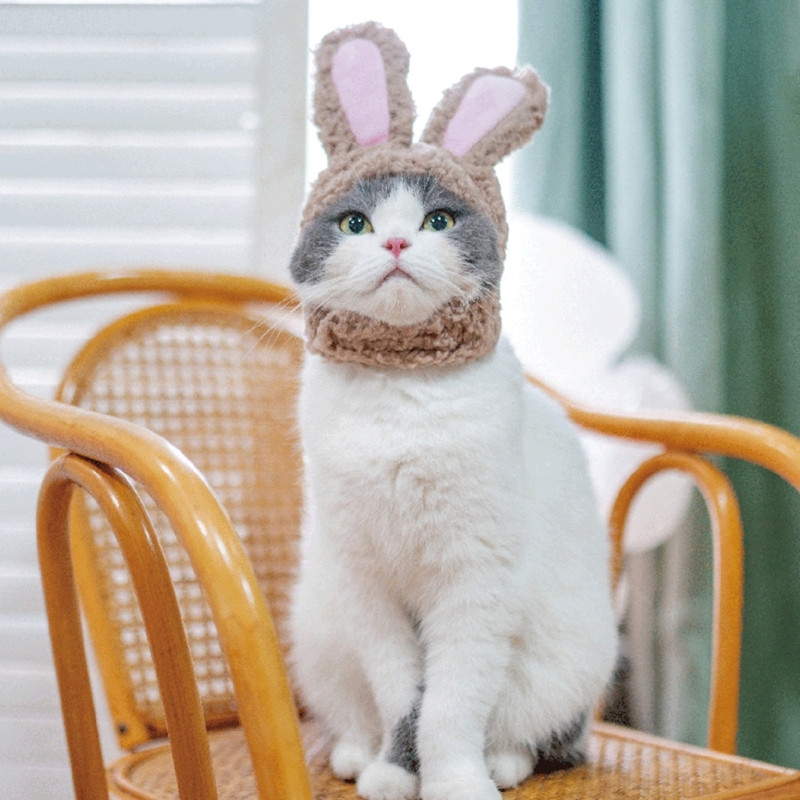 Cats Hat Bunny Soe Cosplay tarvikud kassidele Väikestele koertele Reguleeritav
