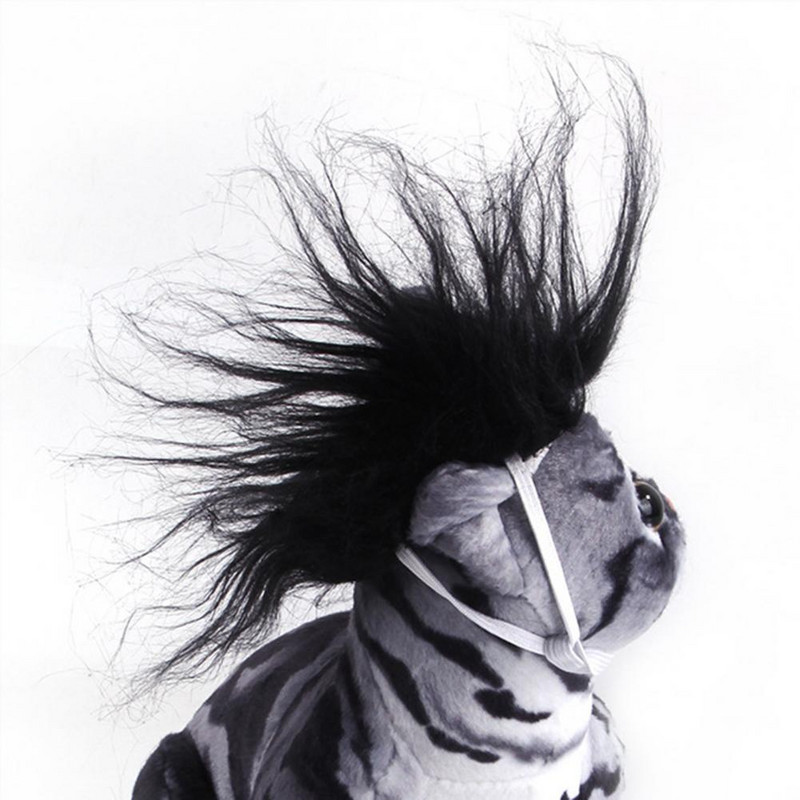 Mačja perika Pokrivalo za glavu svijetle boje Mačka Pas Perika Pokrivalo za glavu Dekoracija Pokrivalo za glavu za mačku Cosplay 5 boja Rekviziti za fotografije Pokrivalo za kućne ljubimce