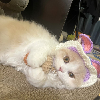 Χειροποίητο καπέλο κατοικίδιου με αυτιά κουνελιού για γάτα Cosplay γατάκι ρούχα αξεσουάρ για γάτες Βρετανικά κοντό καλύμματα κεφαλής Kitty Καπέλο γάτας