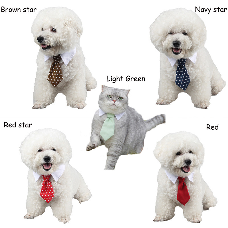 Lemmikloomakassi kikilips kassipoega kaelaside Härrasmeeste tarvikud Koerte tähe kaelarihm Reguleeritav kaelakee kutsikas armas kaelarihm lemmikloomade kostüümitarvikud