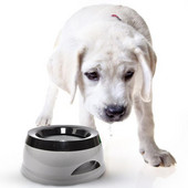 Kućni ljubimac, pas, mačka, zdjela za vodu, pojilica, plutajuća zdjela, nije mokra voda za prskanje vode, mačja zdjela, bez prskalice, dozator vode, prijenosna zdjela za pse