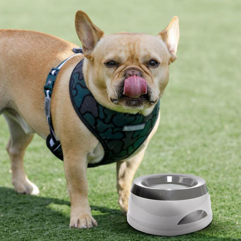 Kućni ljubimac, pas, mačka, zdjela za vodu, pojilica, plutajuća zdjela, nije mokra voda za prskanje vode, mačja zdjela, bez prskalice, dozator vode, prijenosna zdjela za pse