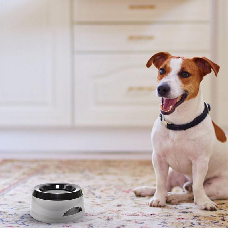 Kućni ljubimac, pas, mačka, zdjela za vodu, pojilica, plutajuća zdjela, nije mokra voda za prskanje vode, mačja zdjela, bez prskalice, dozator vode, prijenosna zdjela za pse