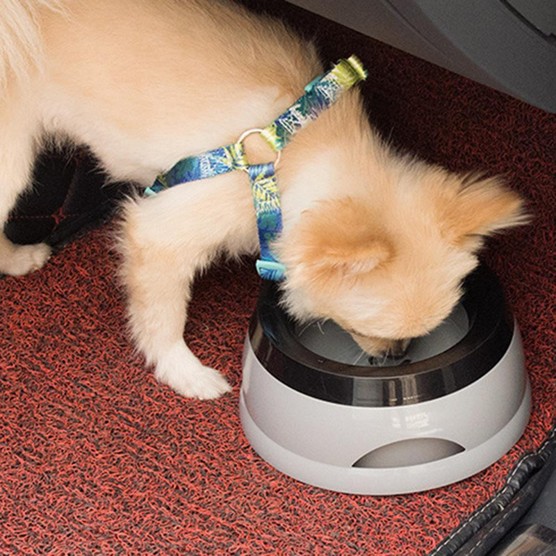 Kućni ljubimac, pas, mačka, zdjela za vodu, pojilica, plutajuća zdjela, nije mokra voda za prskanje vode, mačja zdjela, bez prskalice, dozator vode, prijenosna zdjela za pse