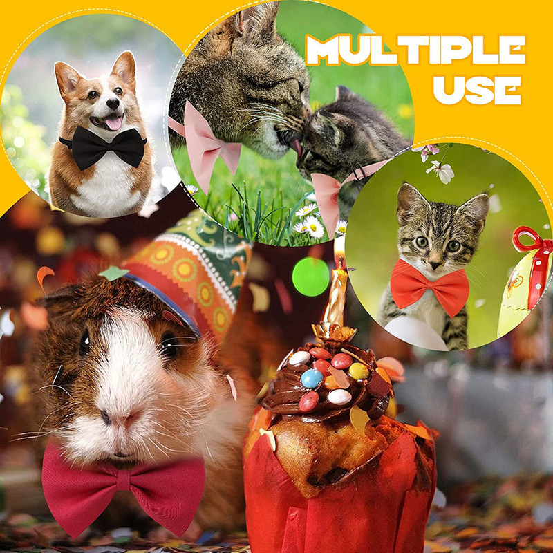 50GAB suņu tauriņš Regulējama tauriņa kaklasiksna kucēnam maziem vidēji lieliem suņiem Mājas kaķis suns kāzu dzimšanas diena izlaiduma svētki
