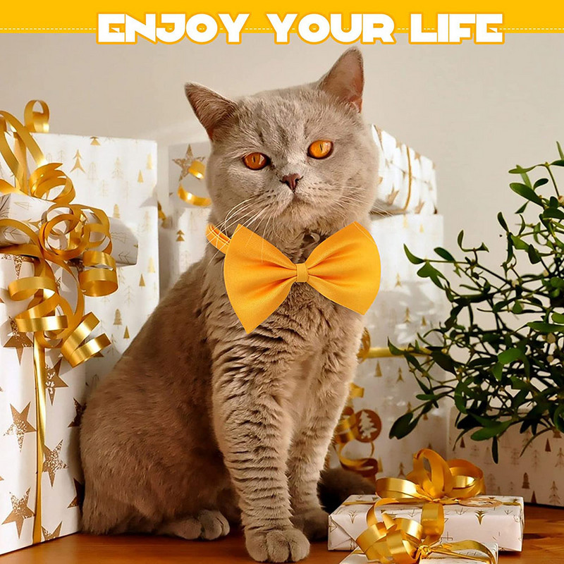 50GAB suņu tauriņš Regulējama tauriņa kaklasiksna kucēnam maziem vidēji lieliem suņiem Mājas kaķis suns kāzu dzimšanas diena izlaiduma svētki