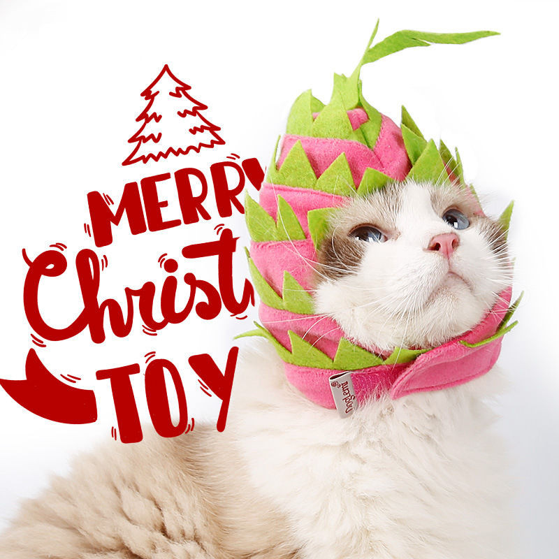 Božićni kostim za kućne ljubimce za Noć vještica Psić Pas Mačke Šešir u obliku voća Dodatak za pokrivala za glavu Deko za pse Mačke Pitaya Pokrivala za glavu