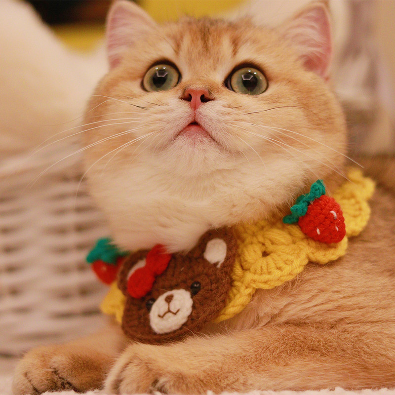 Slatki medvjed Heklana mačka Bib Vunena pseća bandana Slatki šal za kućne ljubimce Ogrlica Ručni mačji šal za male mačke Dodaci za ružičaste mačiće