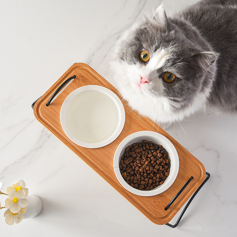 Koerad topelttoiduga veekausid keraamilised kutsikatoidu veesöötjad püstikuga kõrgendatud kassi joomine söömine söötmisnõu