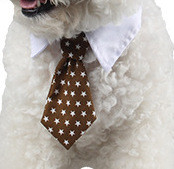 Psić Mačka Prugasta leptir-kravata Podesiva boja za kućne ljubimce Kravata za pseće odijelo Kravata Modna odjeća za kućne ljubimce Dodaci za košulje za vjenčanja