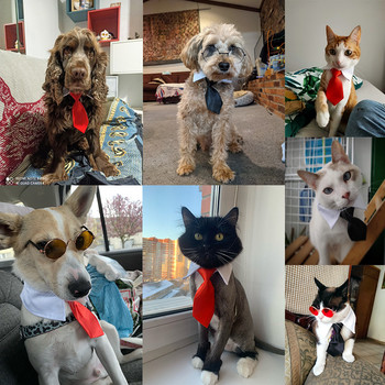 Κουτάβι γάτα Ριγέ παπιγιόν Ρυθμιζόμενο σε χρώμα κατοικίδιο ζώο γραβάτα κοστούμι σκύλου Γραβάτα μόδα ρούχα για κατοικίδια Αξεσουάρ πουκάμισο για πάρτι γάμου