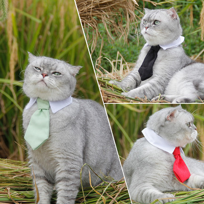 Kölyökkutya macska csíkos csokornyakkendő Állítható kisállat színes nyakkendő kutyaruha Nyakkendő Divat Kisállatruházat Ingek Kiegészítők Buli Esküvőhöz