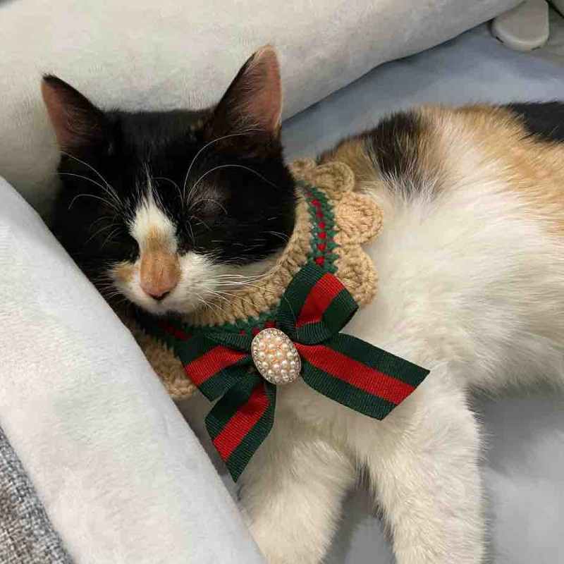 Originalni ljubimac pletena mačka heklana bandana pas mačka ogrlica šal ovratnik slatki nakit dodaci za mačke kućni ljubimci dodaci za mačke ljubimci