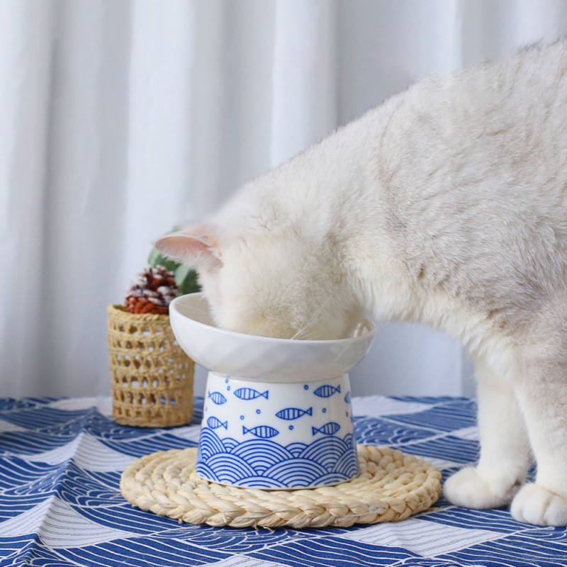 Kaķu keramikas bļodiņas Mazi kucēnu suņi Barība Ūdens Barošanas Bļoda Mājdzīvnieku paaugstināšana Dzērienu un ēšanas padevēji Mājdzīvnieku uzkodu trauks pret apgāšanos