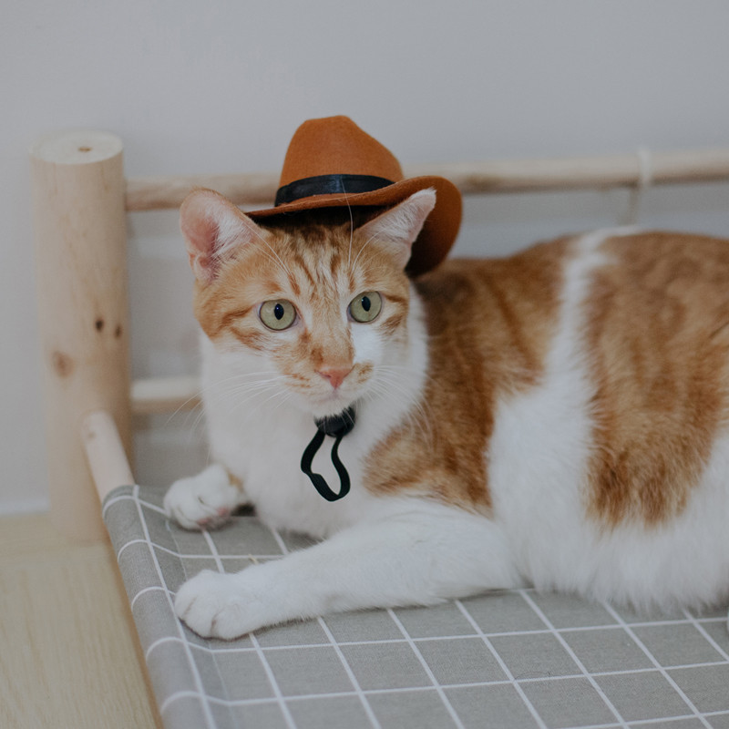 Šešir za kućne ljubimce Pas Mačka Zapadni kaubojski šešir Netkani univerzalni slatki retro rekvizit za fotografije Dodaci za pse Ukras za lutke Podesiva čvrstoća