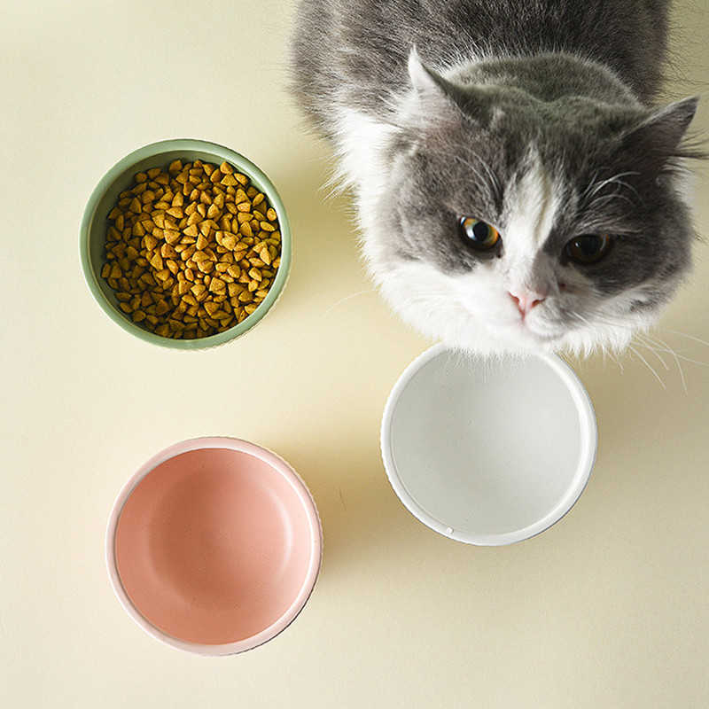 Ziemeļvalstu kaķu barība ūdens bļoda maziem suņiem, paaugstināta dzeršana ēdināšana barotavas Keramikas mājdzīvnieku barošanas piederumi kucēnu kaķu piederumi