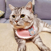 Pet Saliva Bib Fashion Pet Decor Siekalu dvielis Pet Decor Suņu siekalu dvielis