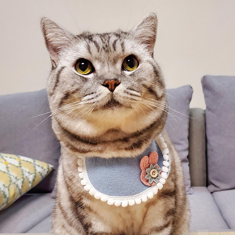 Pet Saliva Bib Fashion Pet Decor Siekalu dvielis Pet Decor Suņu siekalu dvielis