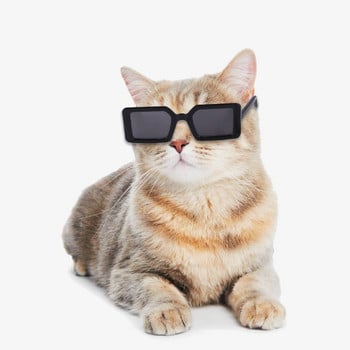 Сладка котка Куче Очила Триъгълни рамки Огледало Квадратни слънчеви очила Многоцветни По избор Охлажда Подпори за снимки Аксесоари за домашни любимци