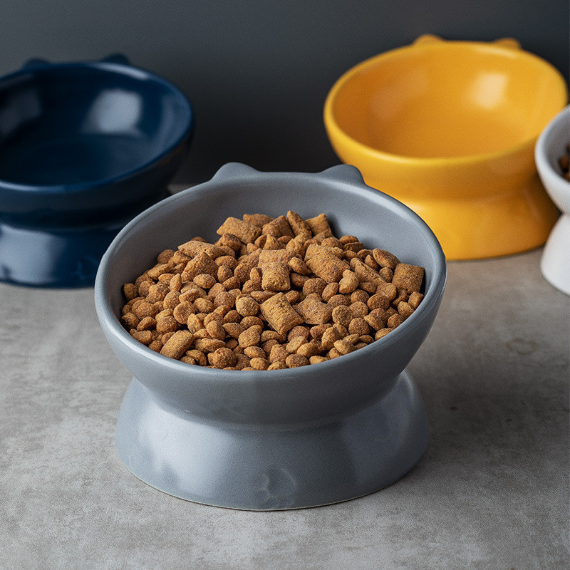 Kassi keraamiline toidukauss Põhjamaade väikestele koertele matt veesöötjad kõrgendatud lemmiklooma joomise söögitarvikud kutsikate kassipoegade toitmisnõud