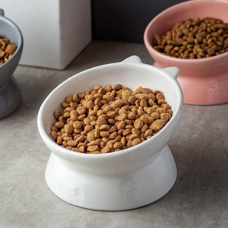 Kassi keraamiline toidukauss Põhjamaade väikestele koertele matt veesöötjad kõrgendatud lemmiklooma joomise söögitarvikud kutsikate kassipoegade toitmisnõud