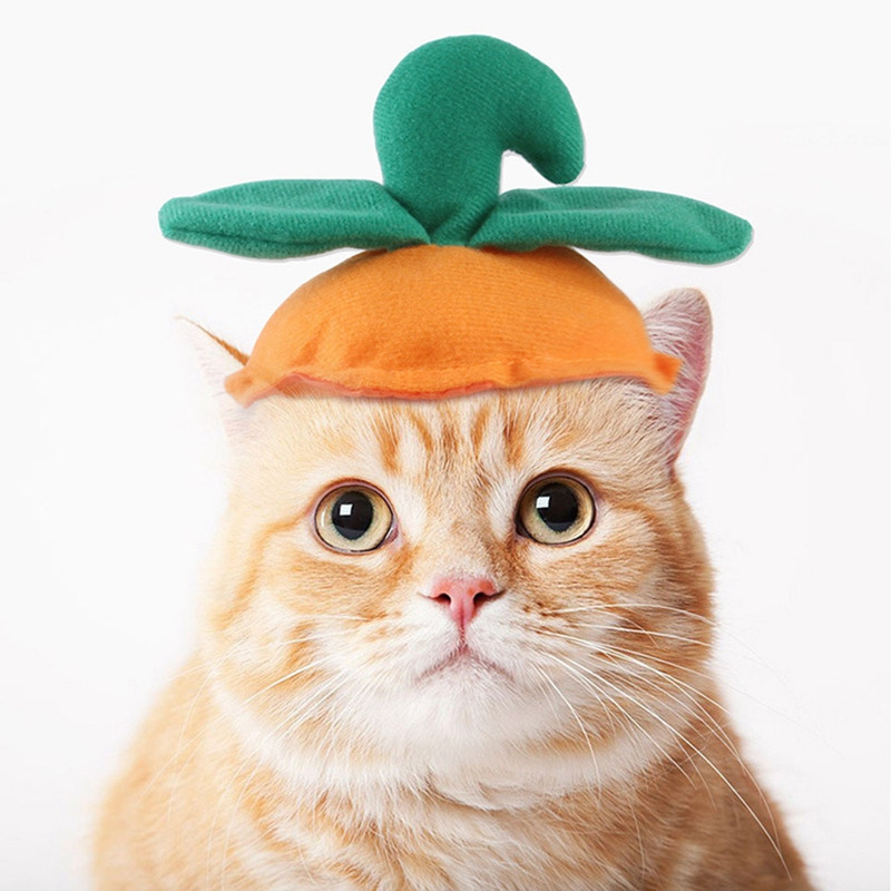 Halloween šeširi za pse Halloween šešir za kućne ljubimce Potrepštine za odijevanje za zabavu Cilindrični šešir Bundeva Šešir Nakit za pse Mačke Noć vještica Bundeva