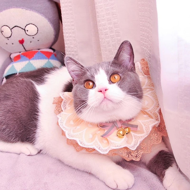 Kassid Elegantne marli Koera Pudipõlled Kaelarihm Ehted Kassi kaelarätik Armas kassipoeg Aksessuaarid Lint Printsessi pits kaelakee jaoks